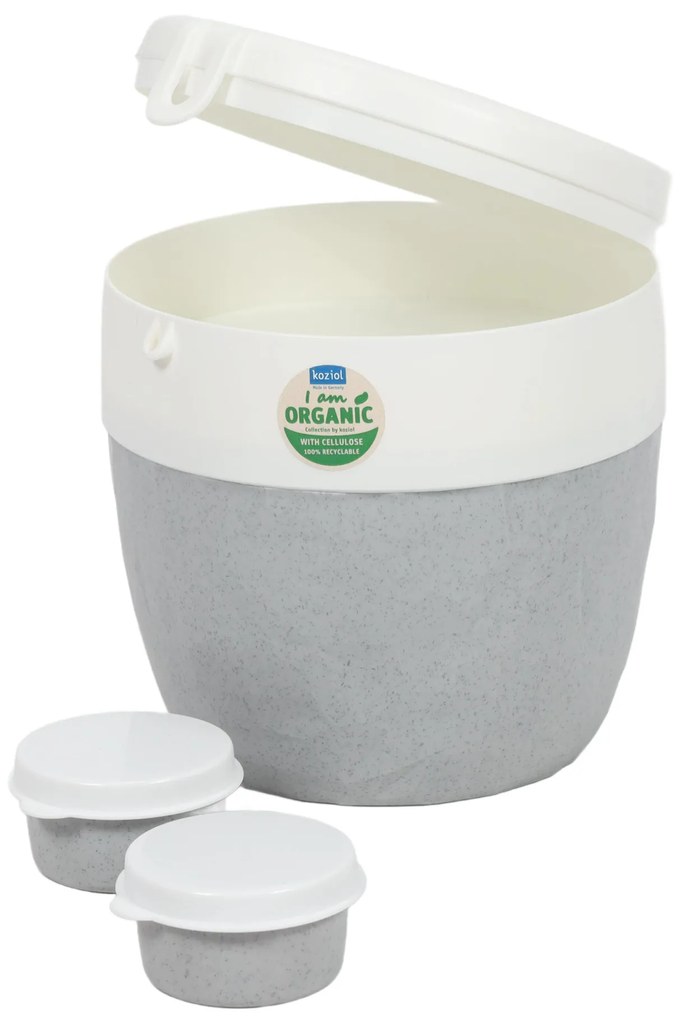 Śniadaniówka, pojemnik na sałatkę i sos BENTOBOX L, 3 elementy, KOZIOL