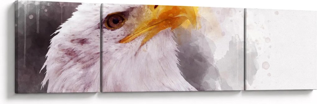 Obraz orła (170x50 cm)