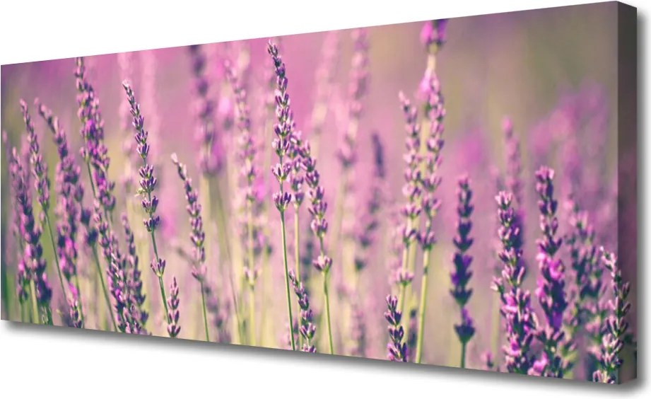 Fotoobraz na płótnie Rozkwitająca Natura w Kwiatach