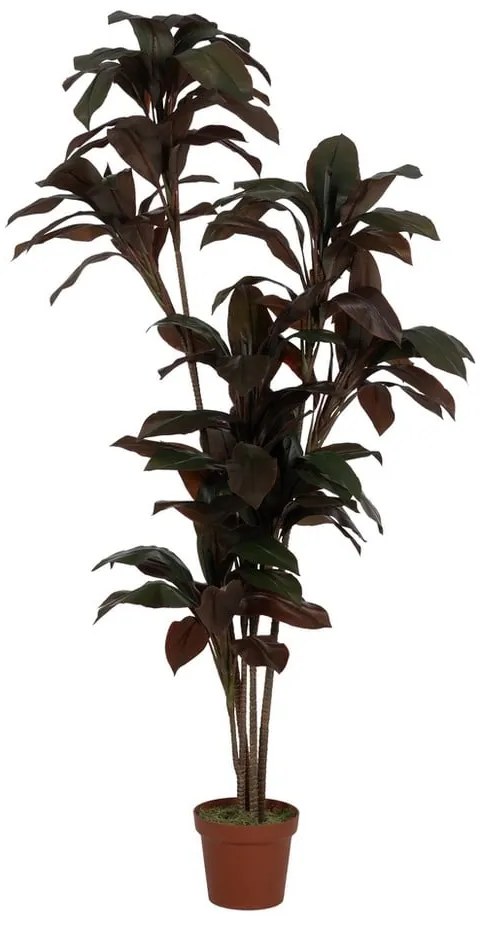 Sztuczna roślina (wysokość 170 cm) – Ixia