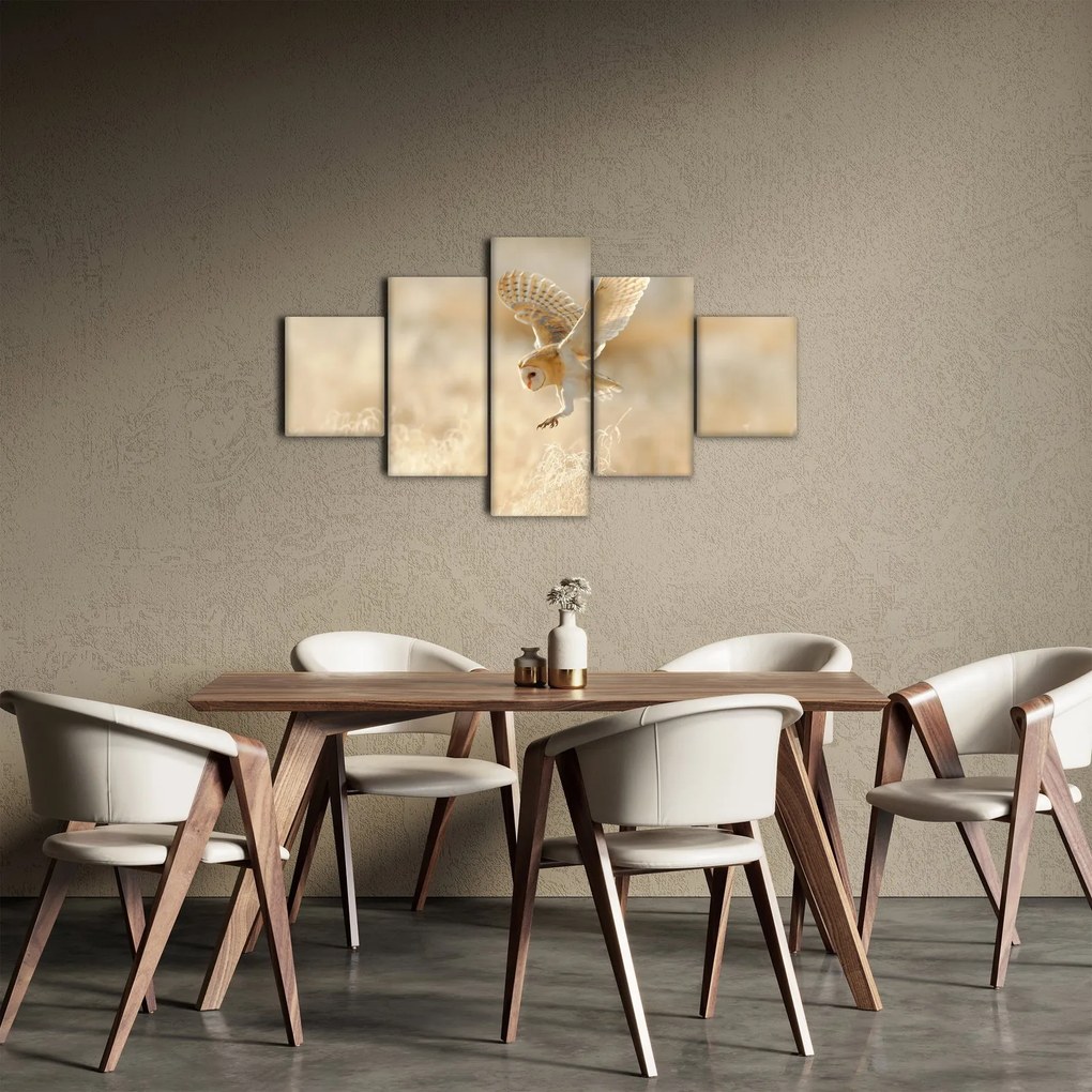 Obraz - Sowa (125x70 cm)