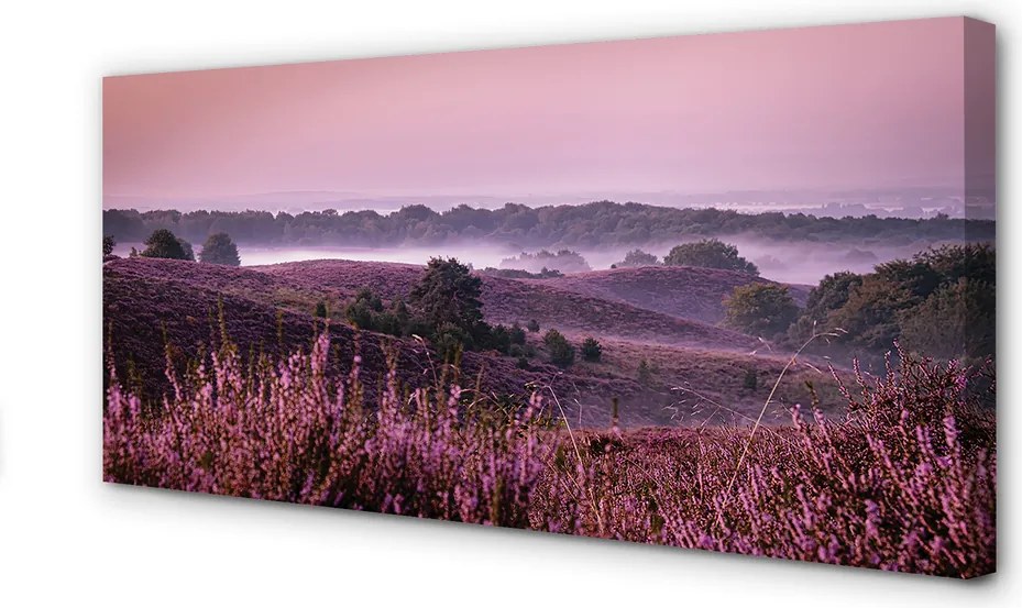 Obraz drukowany na płótnie Pole Wrzosów