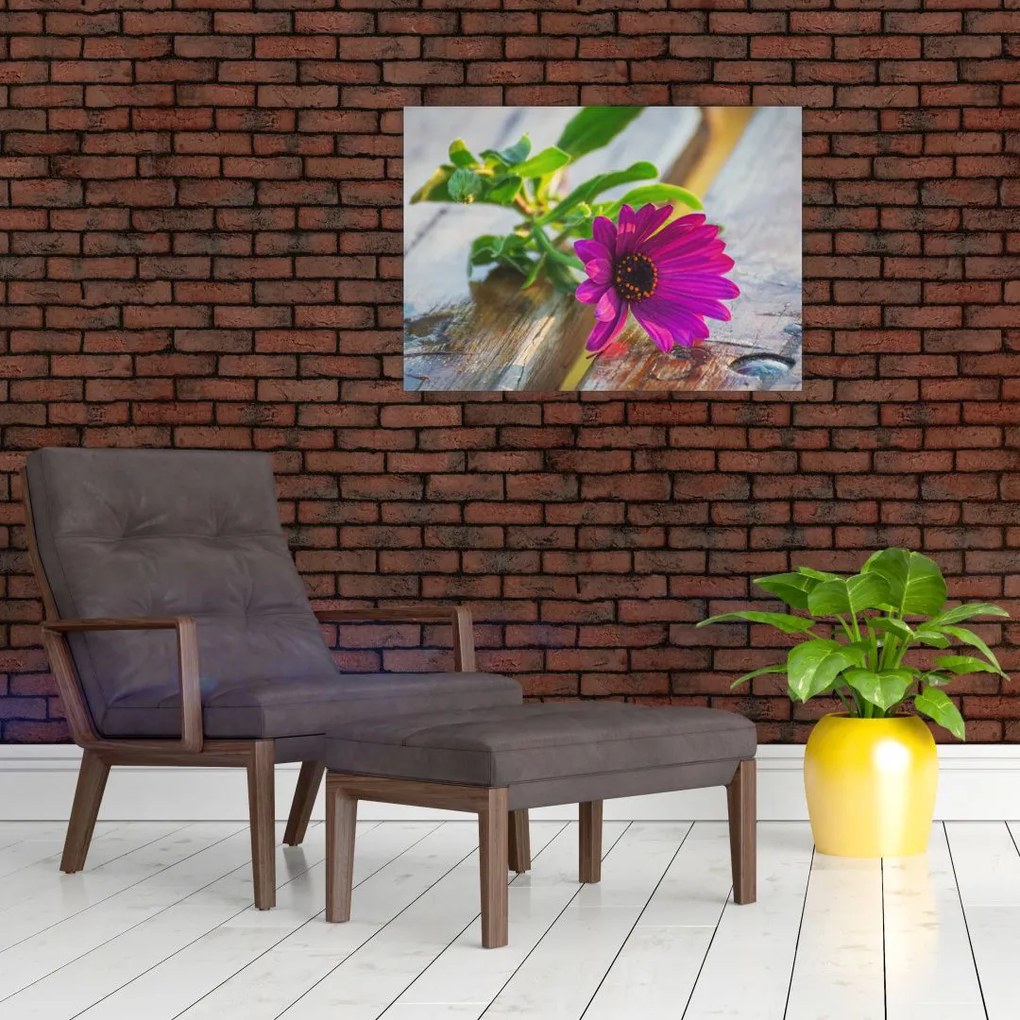 Obraz ciętego kwiatu (70x50 cm)
