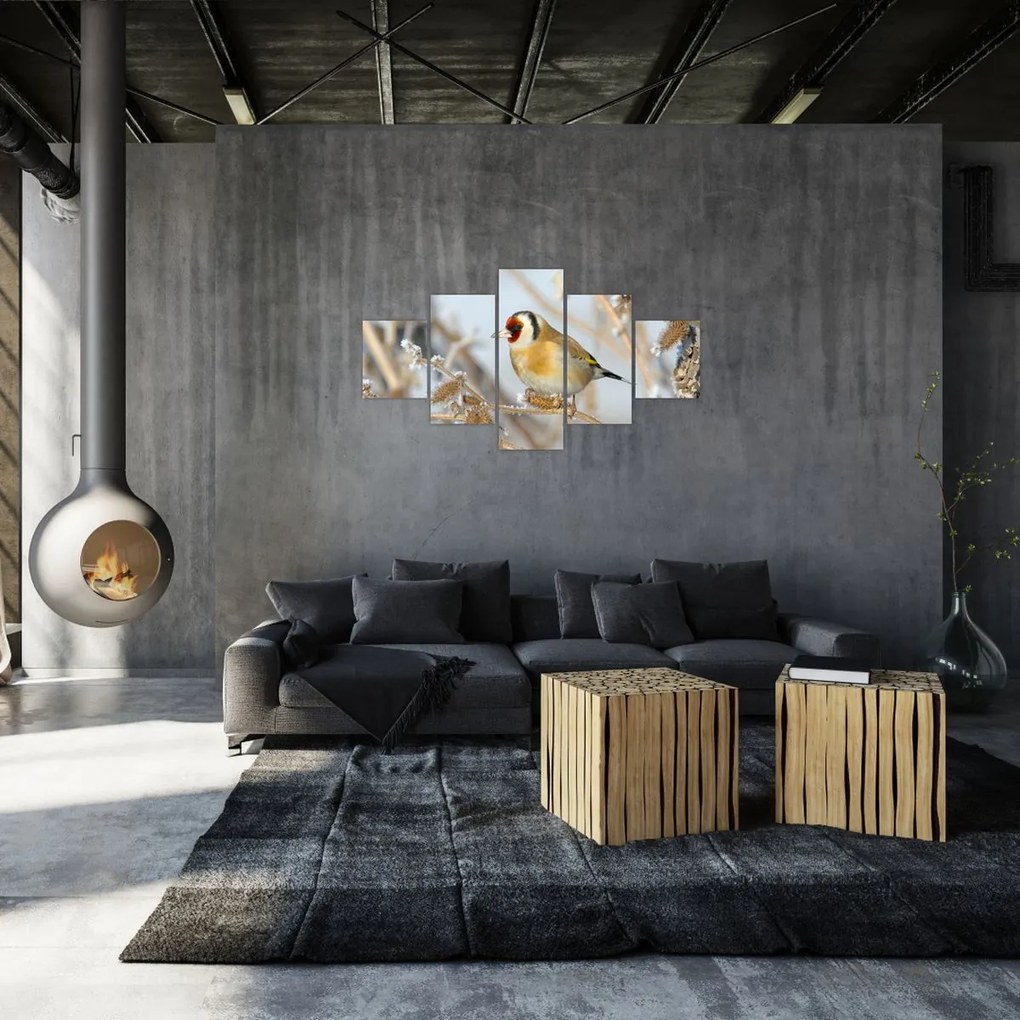 Obraz - Szczygieł (125x70 cm)