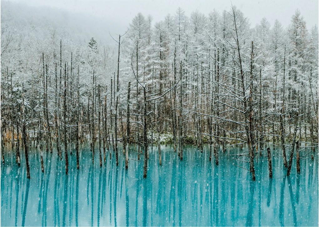 Obraz - Turkusowy staw, Biei, Japonia (70x50 cm)