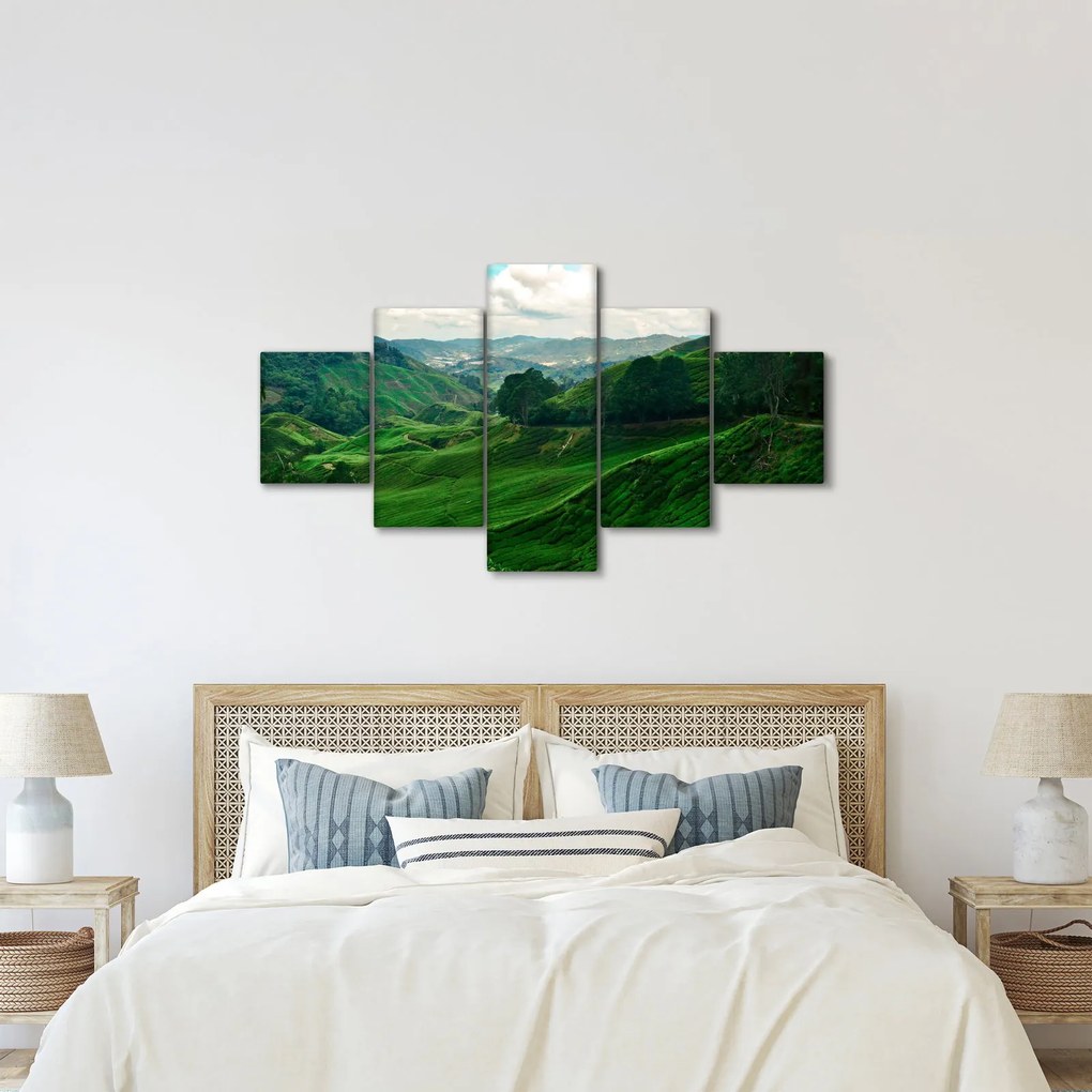 Obraz - Plantacje herbaty w Malezji (125x70 cm)