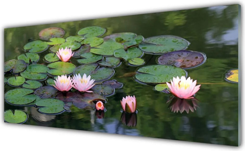 Panel Szklany Subtelna Lilia na Wodzie