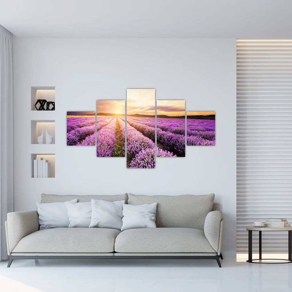 Obraz - Wschód słońca na polu lawendy (125x70 cm)