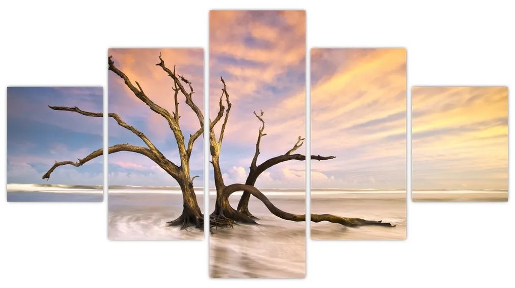 Obraz drzewa w oceanie (125x70 cm)