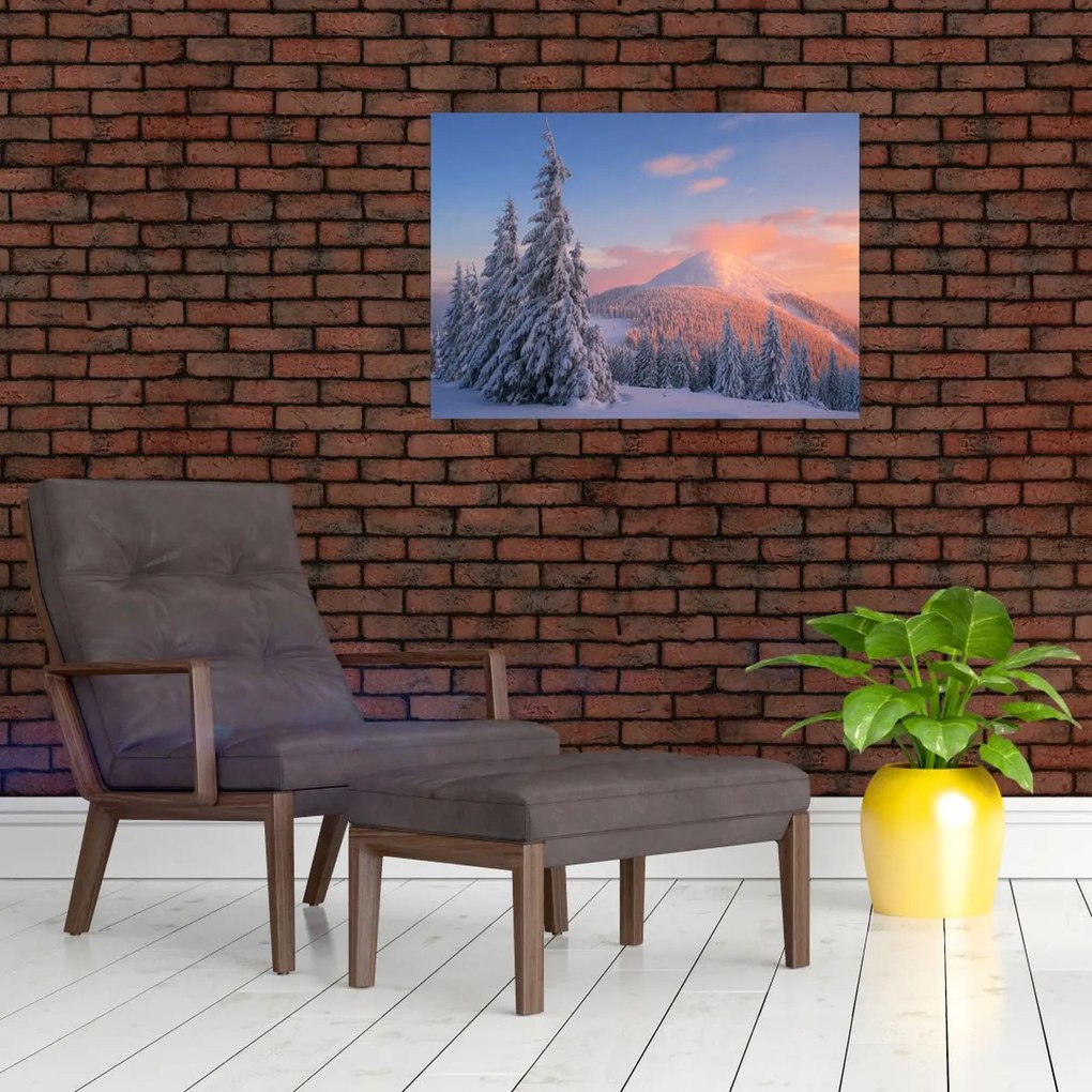 Obraz - Zimowy krajobraz (70x50 cm)