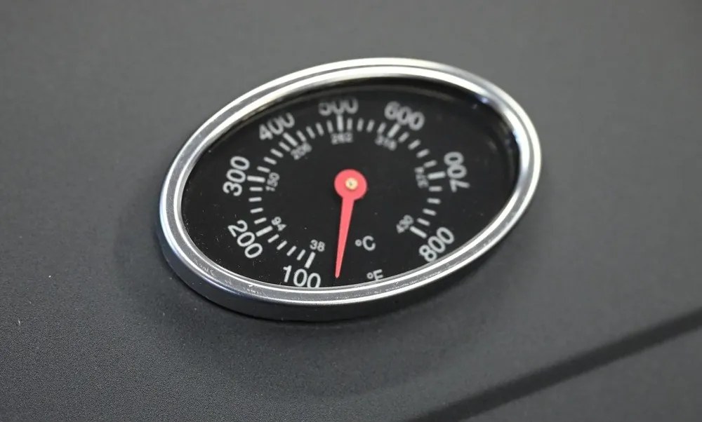 Grill gazowy Royal Gas L – Cattara