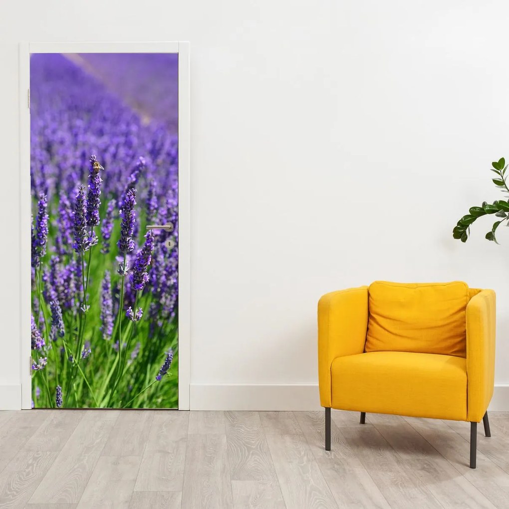 Fototapeta na drzwi - Lawenda (95x205cm)