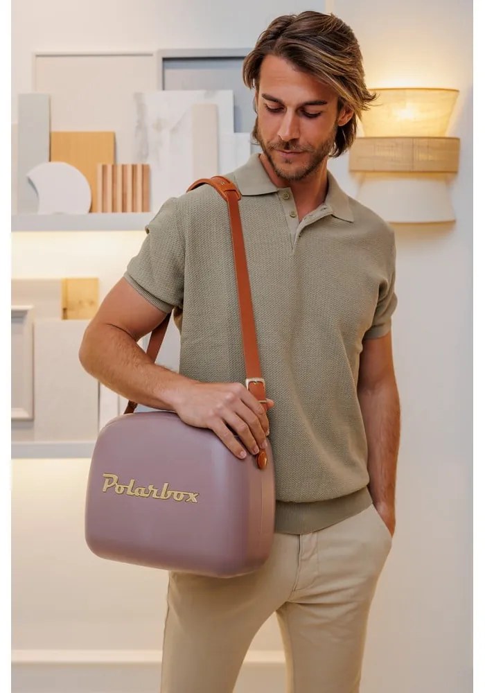 Brązowy pojemnik chłodzący 6 l Classic Gold – Polarbox