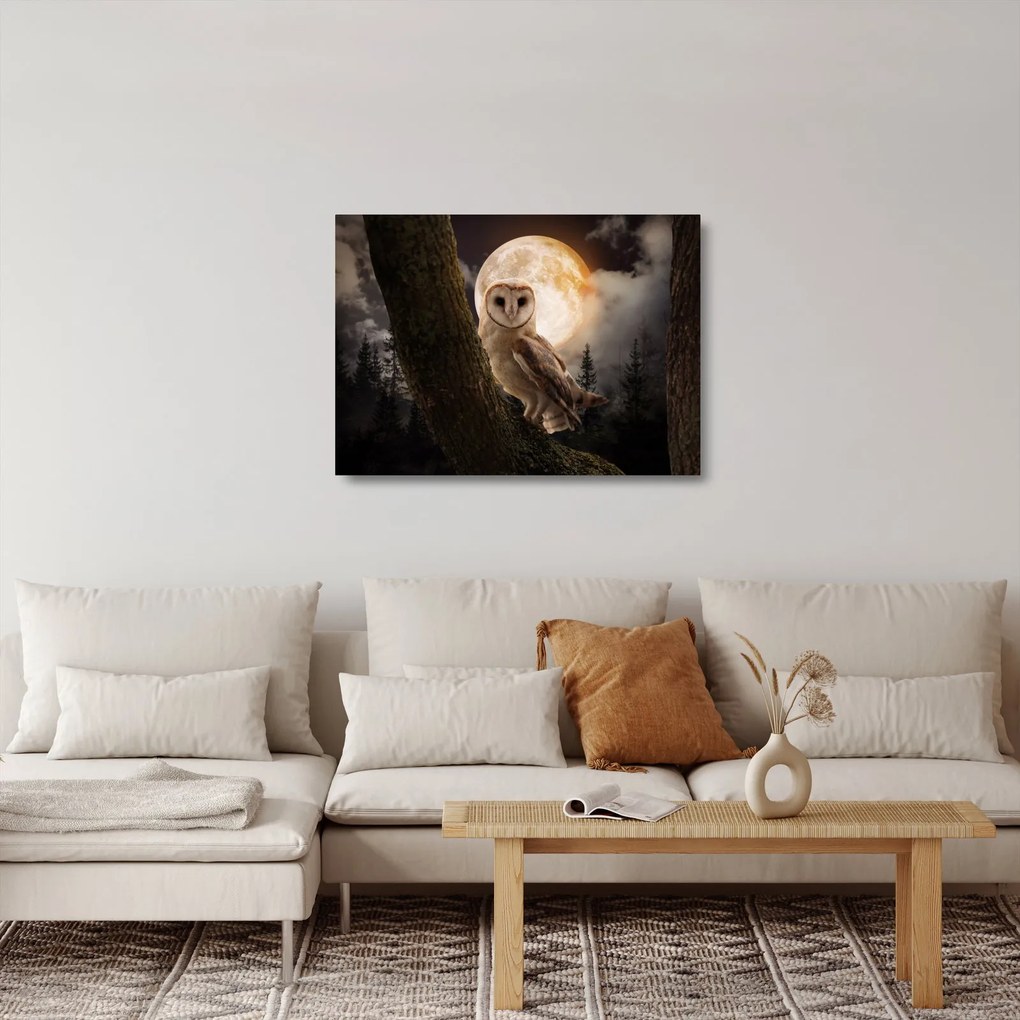 Obraz na szkle sowy palonej (70x50 cm)