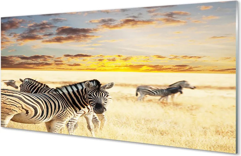 Panel nad Blat Kuchenny Zebry w Złotej Godzinie