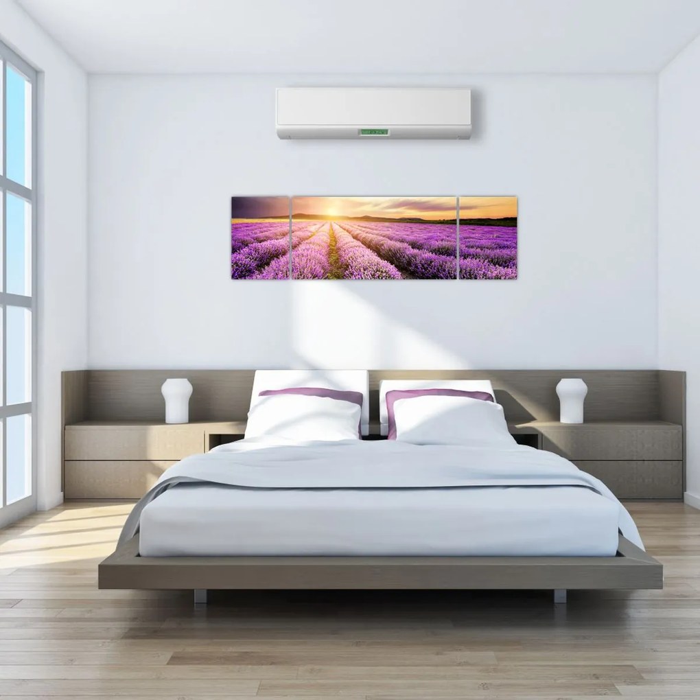 Obraz - Wschód słońca na polu lawendy (170x50 cm)