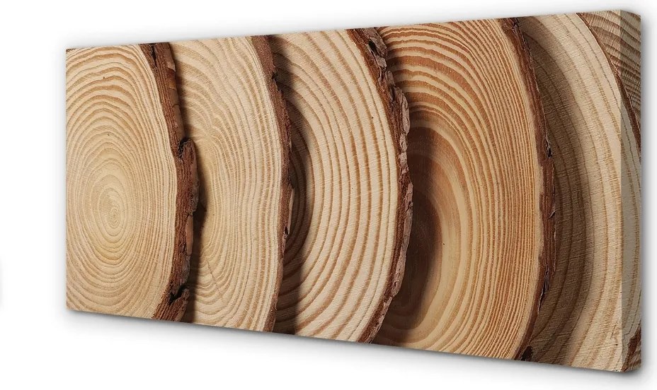 Obraz drukowany na płótnie Plastry Drewna Na Ścianę