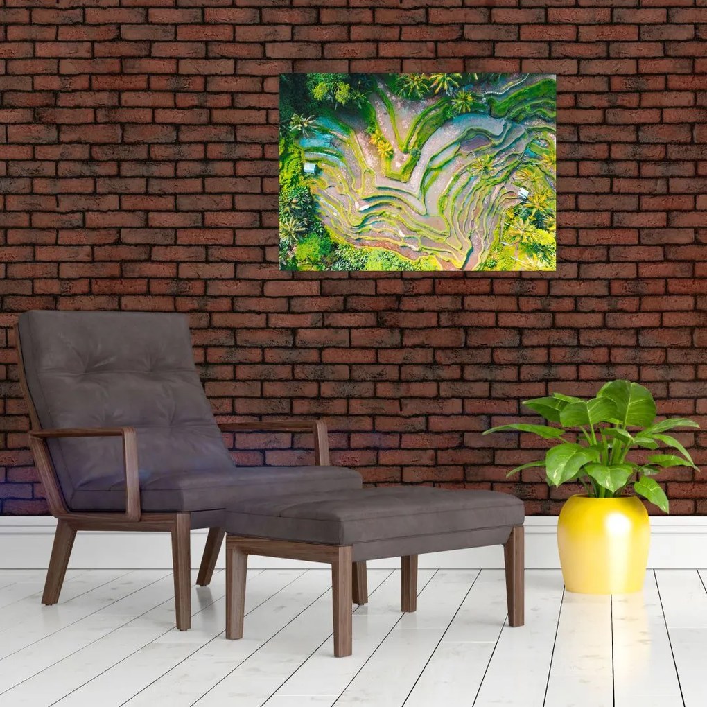 Obraz na szkle pól ryżowych z lotu ptaka (70x50 cm)