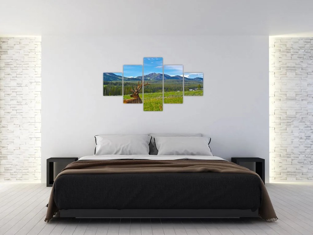 Obraz - Jeleń na łące (125x70 cm)