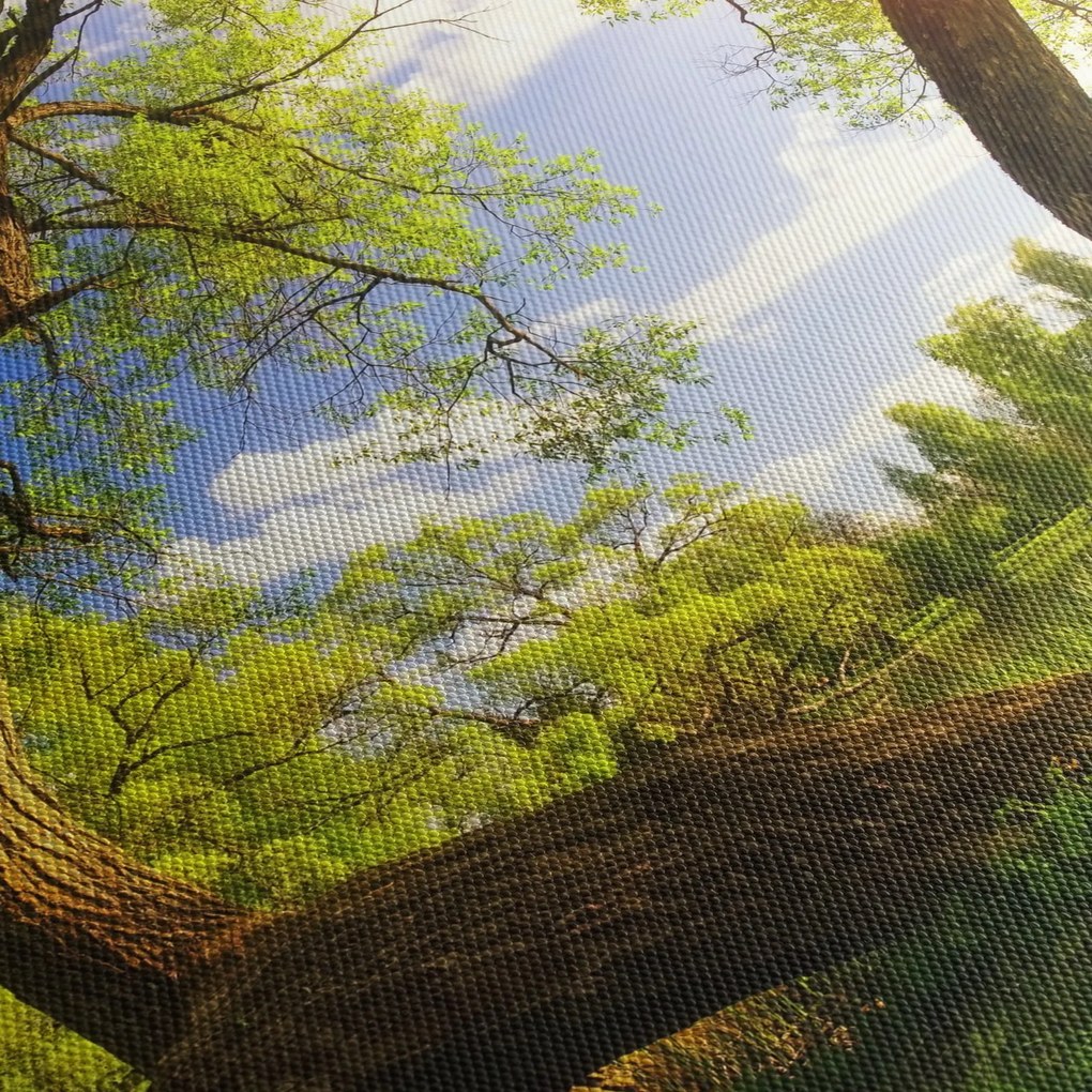 Obraz wiosennej łąki (170x50 cm)