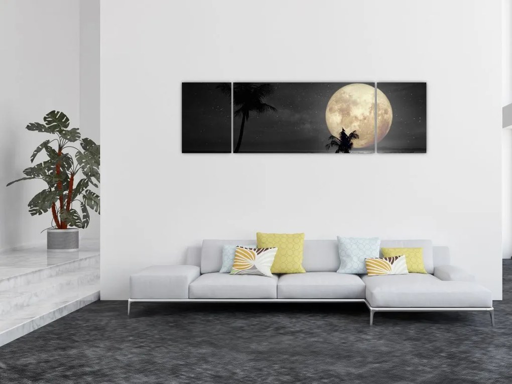 Obraz - Plaża pod pełnią księżyca w odcieniach szarości (170x50 cm)
