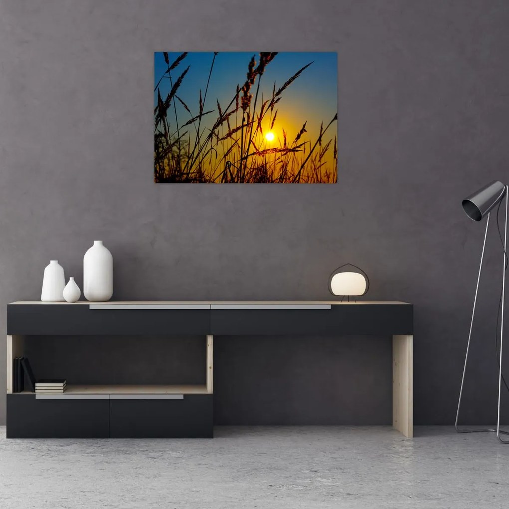 Obraz - Zachód słońca na łące (70x50 cm)