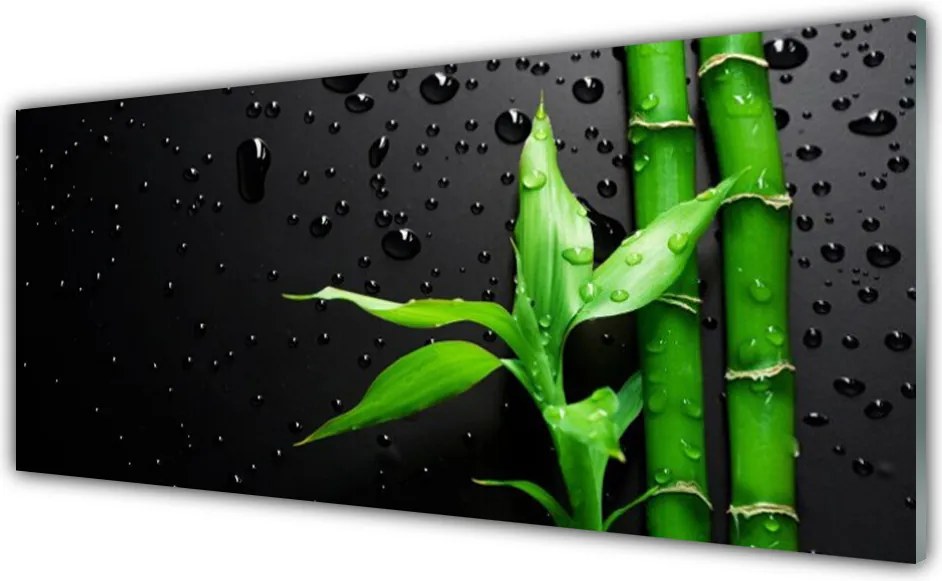 Panel Szklany do Kuchni Tropikalny Motyw Bambusa