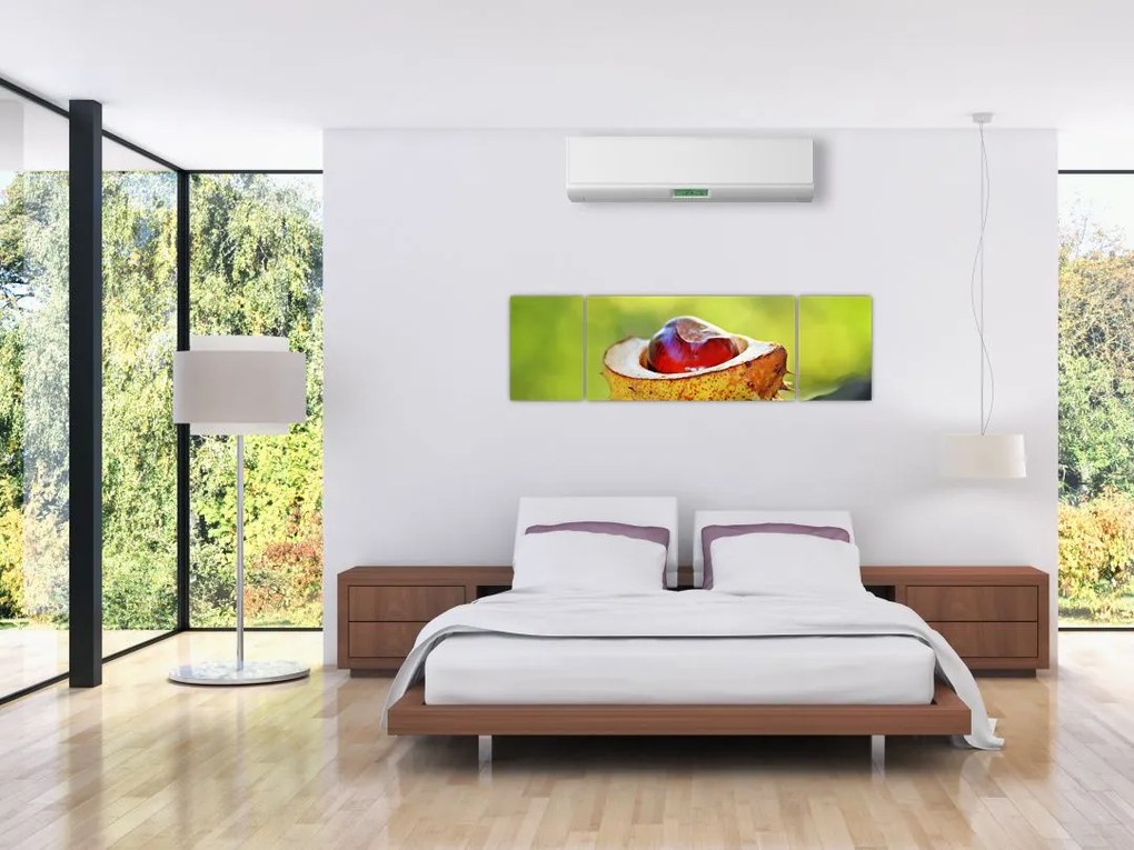 Obraz kasztanowów (170x50 cm)