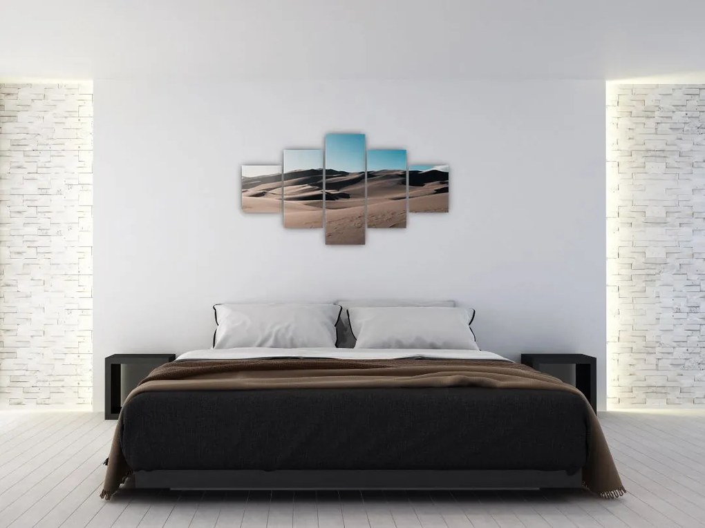 Obraz - Z pustyni (125x70 cm)