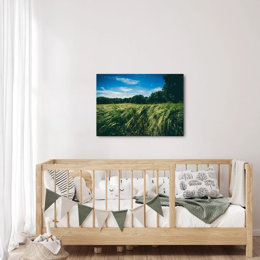 Obraz łąki i lasu (70x50 cm)