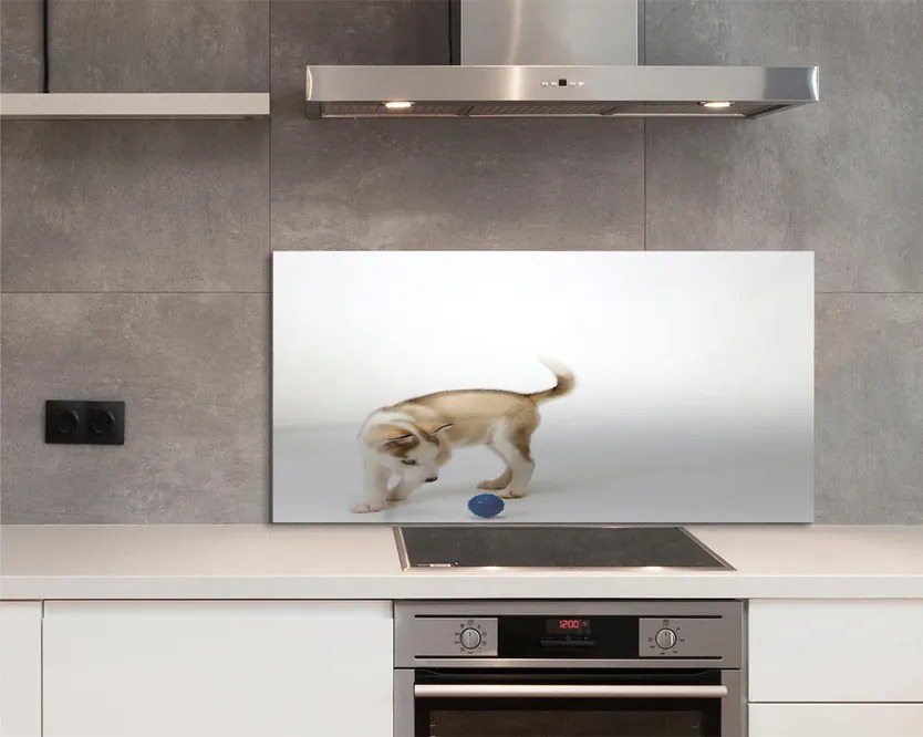 Panel szklany do Kuchni Radosna Zabawa Psa