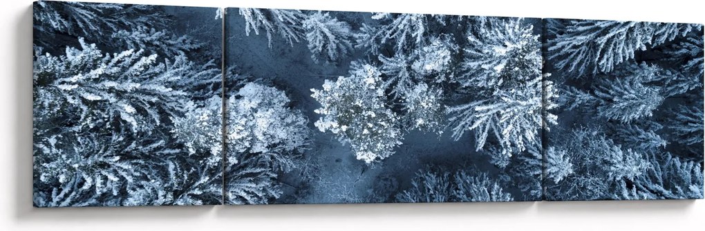 Obraz - Śnieżny las (170x50 cm)