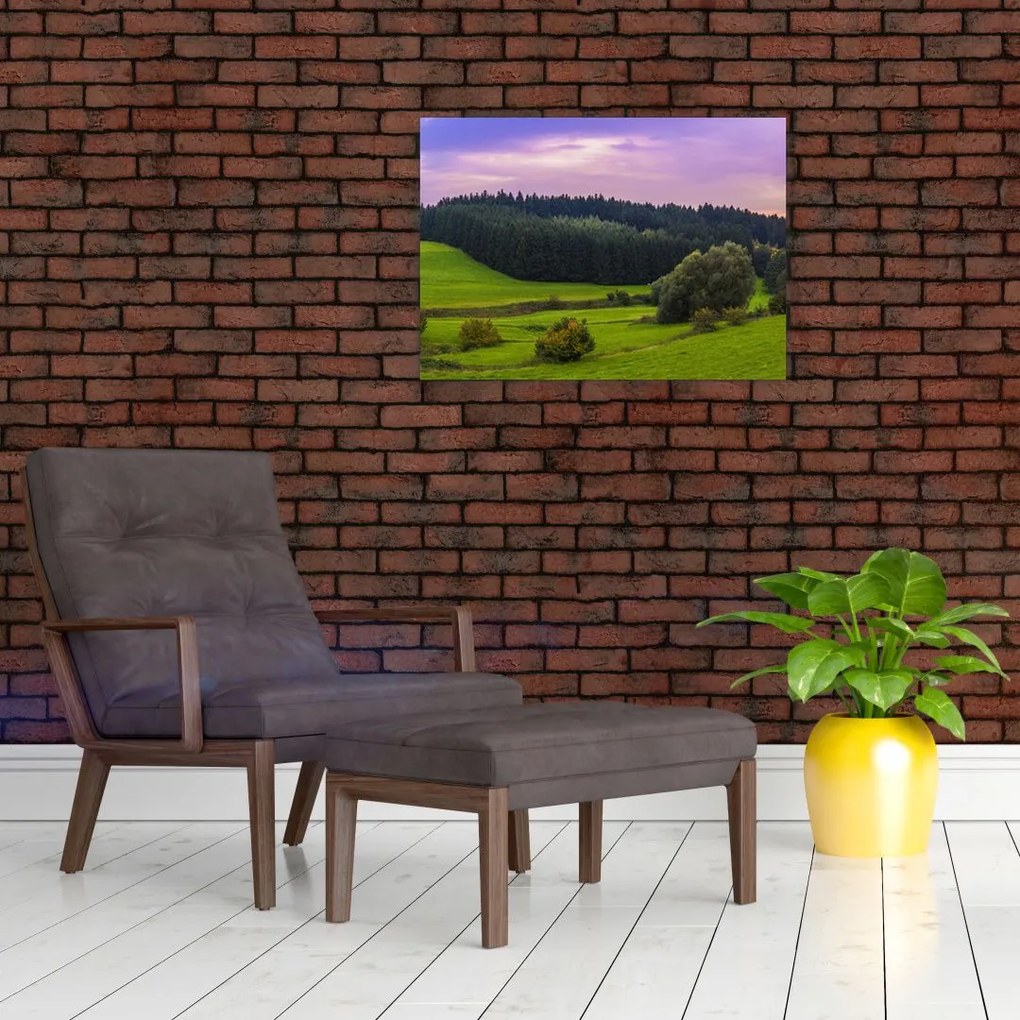 Obraz na szkle - łąka (70x50 cm)