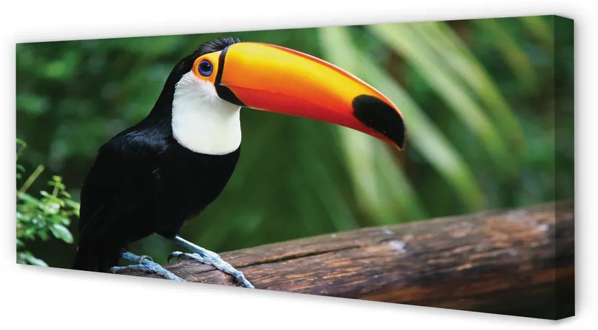 Duży obraz na płótnie Tukan na Gałęzi