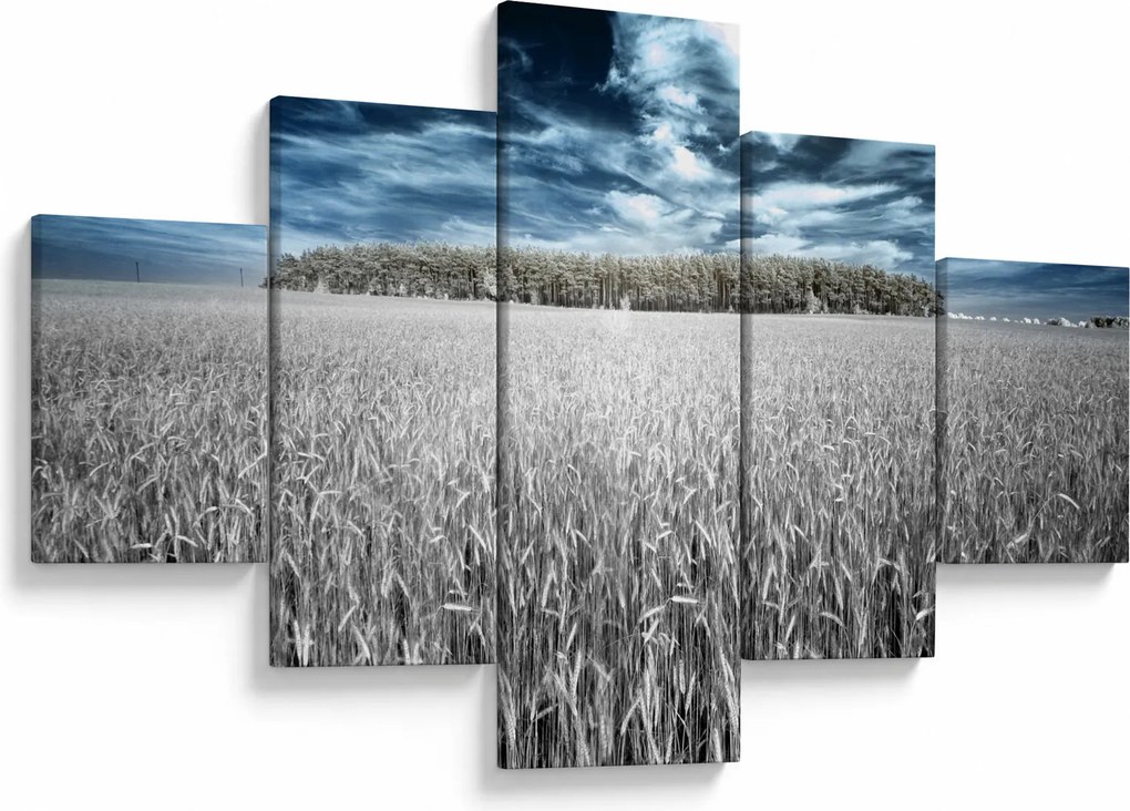Obraz pola (125x70 cm)