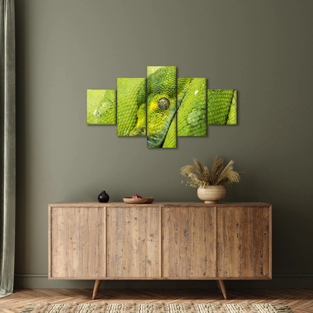 Obraz węża (125x70 cm)