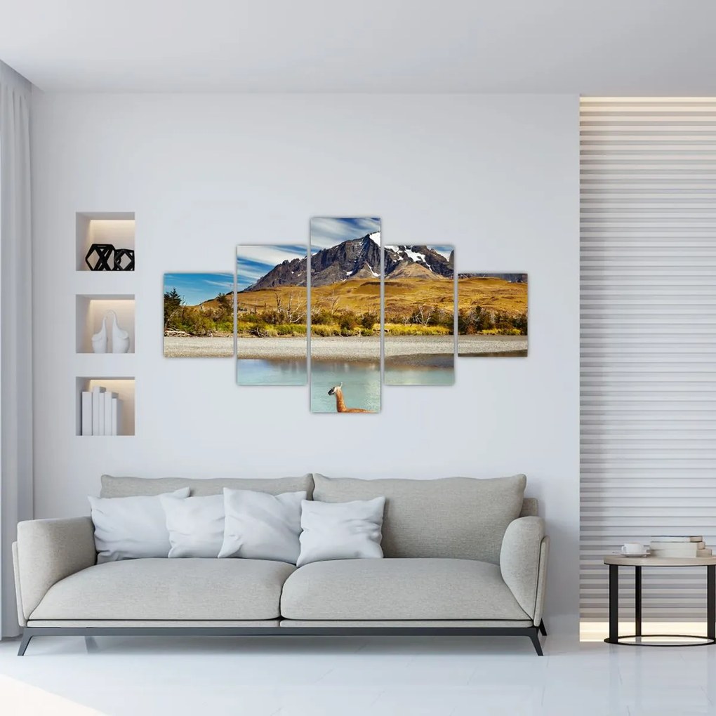 Obraz - Park Narodowy Torres del Paine (125x70 cm)
