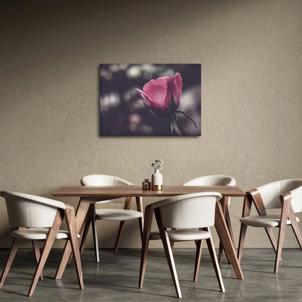 Obraz - Detal kwiatu róży (70x50 cm)