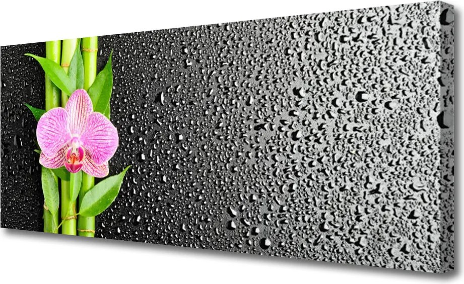 Obraz na płótnie Pędy Bambusa w Rozkwicie