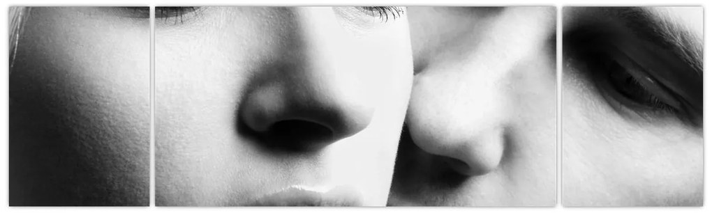 Obraz - Para (170x50 cm)