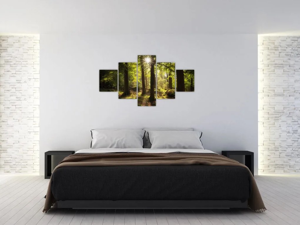 Obraz sennego lasu (125x70 cm)