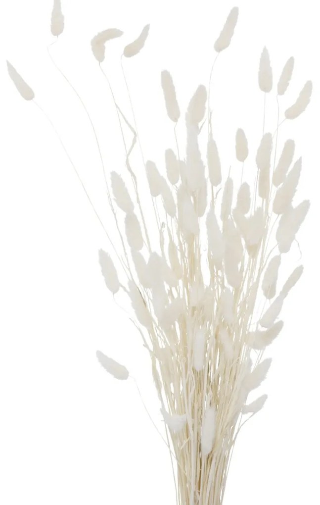 Ozdobne gałązki do wazonu, suszone, 70 cm