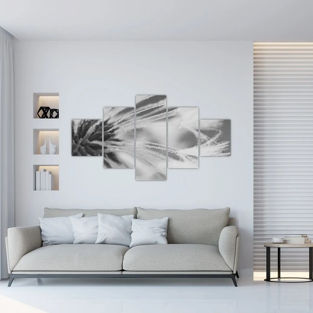 Obraz - Mlecz (125x70 cm)