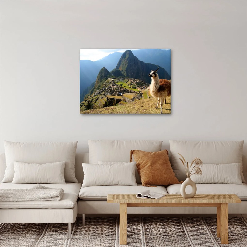 Obraz - Lama i Machu Picchu (70x50 cm)