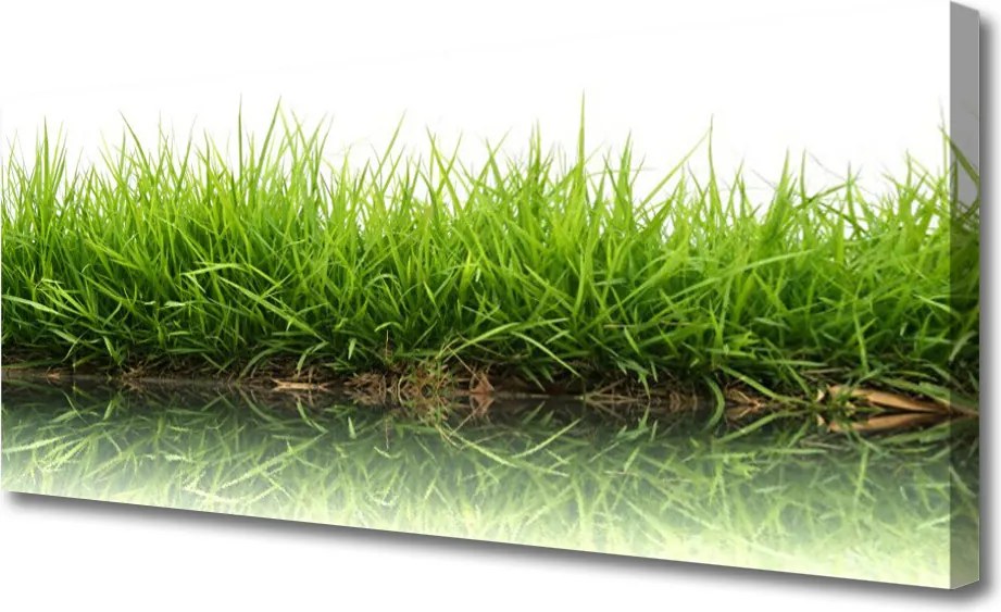 Zdjęcie na płótnie Świeżość Trawy nad Wodą