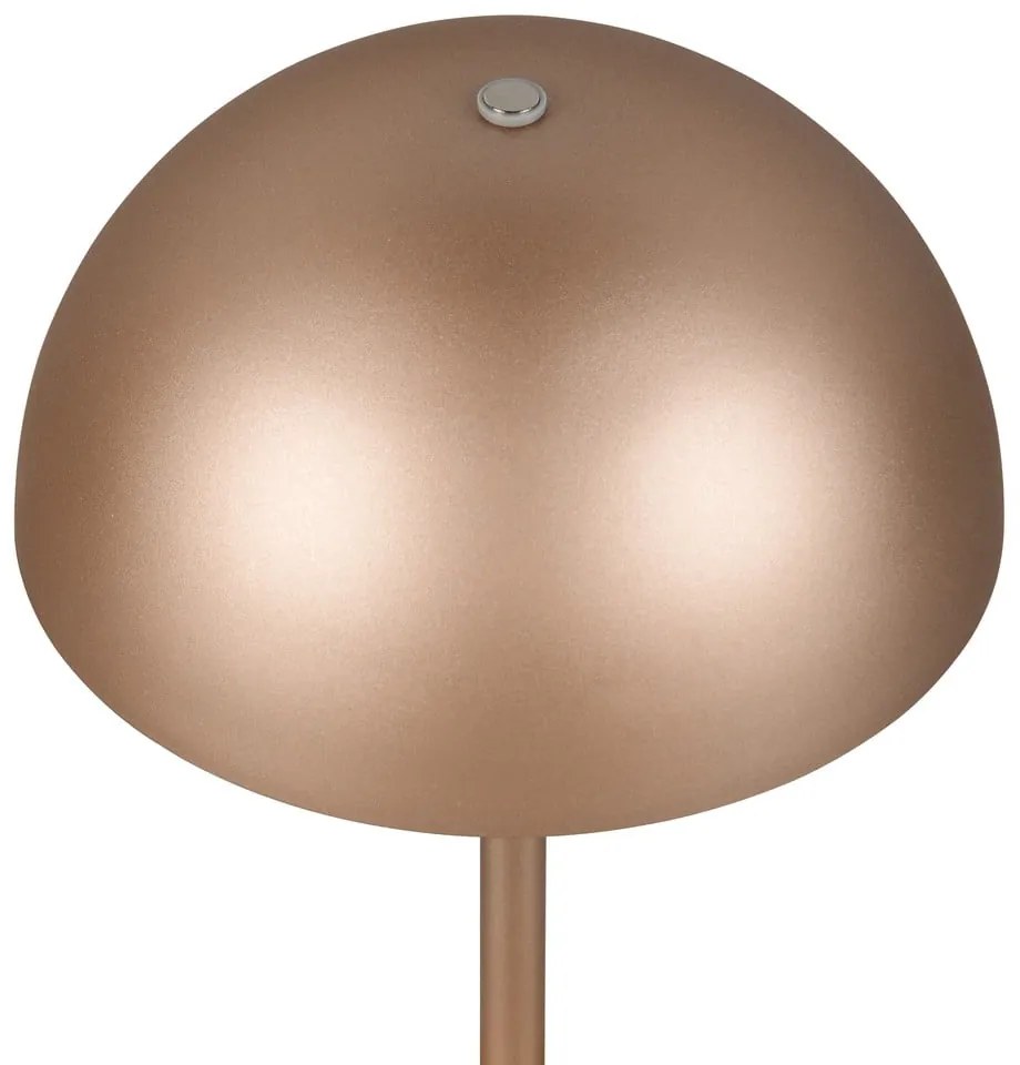 Lampa stołowa LED w kolorze brązu z metalowym kloszem (wysokość 21 cm) Munoz – Trio