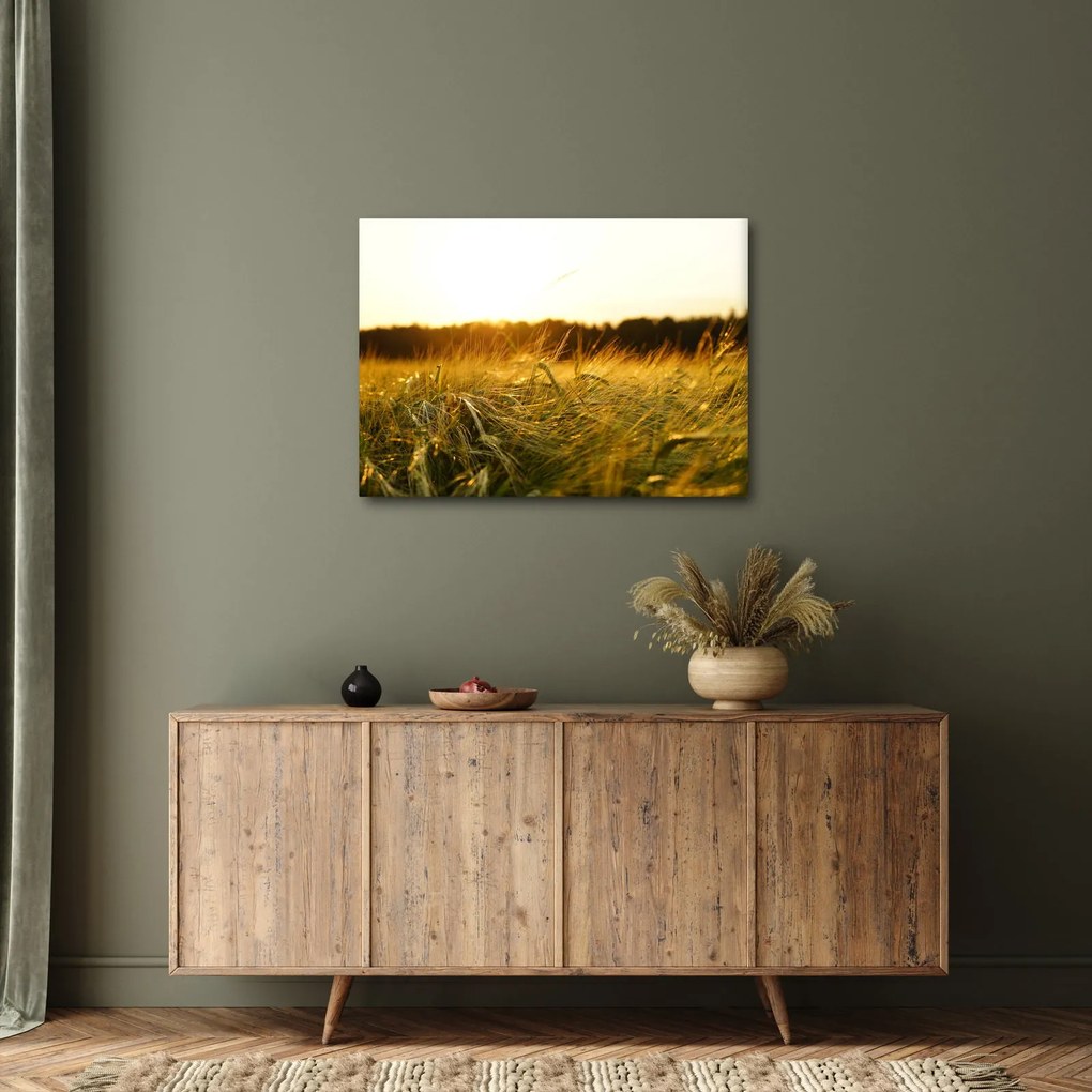 Obraz zroszonej trawy (70x50 cm)