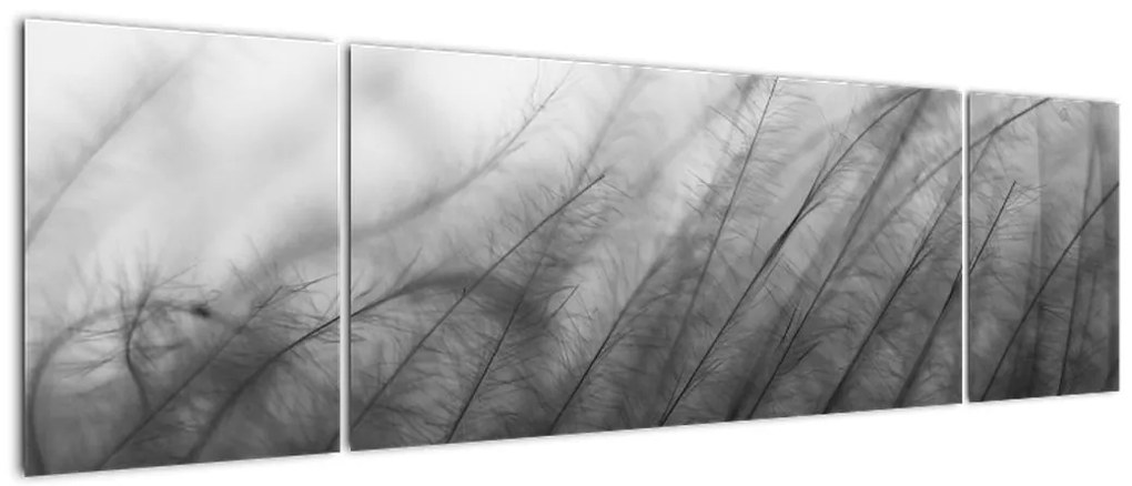Obraz - Trawa na wietrze (170x50 cm)