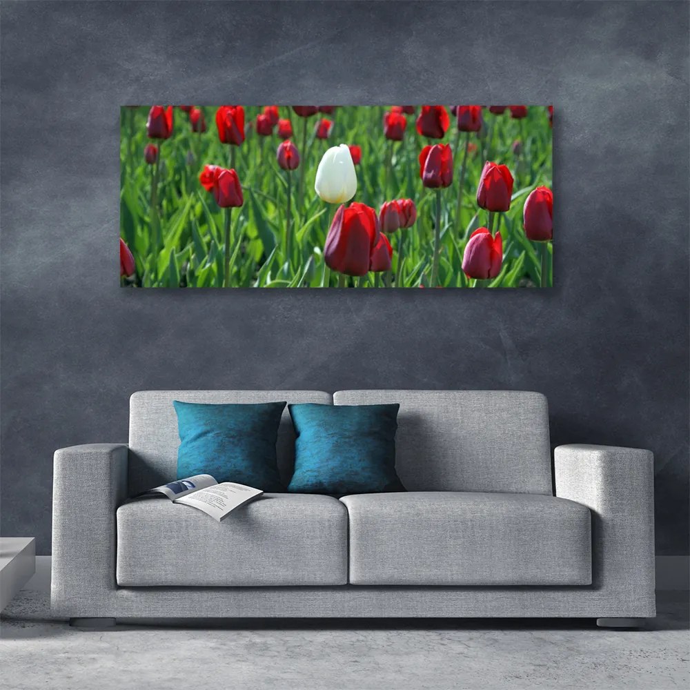 Obraz Canvas Tulipany Kwiaty Natura