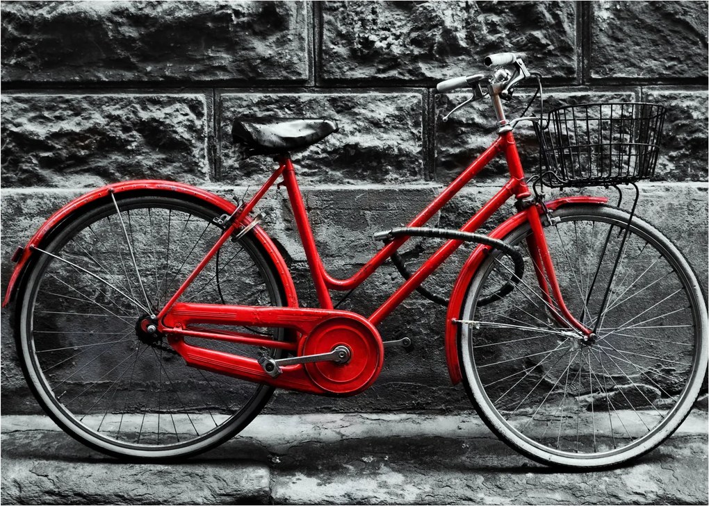 Obraz na szkle - Zabytkowy rower (70x50 cm)